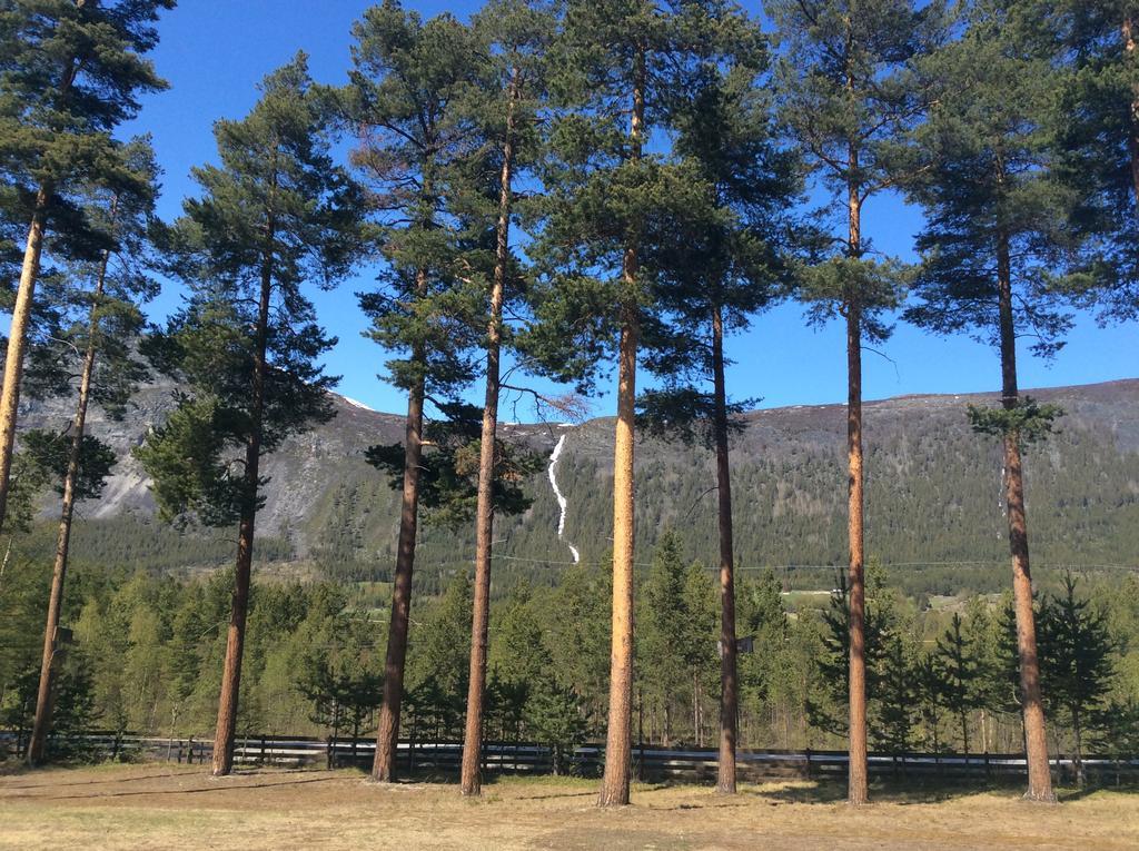 Furuly Camping Nordberg Exterior foto